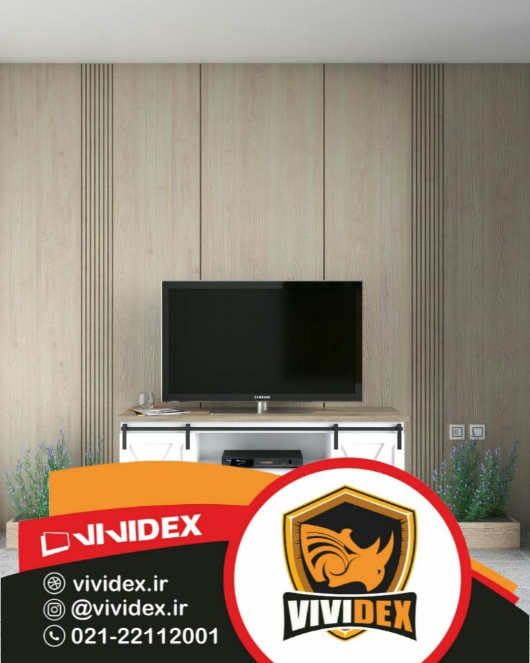 پشت تلویزیون